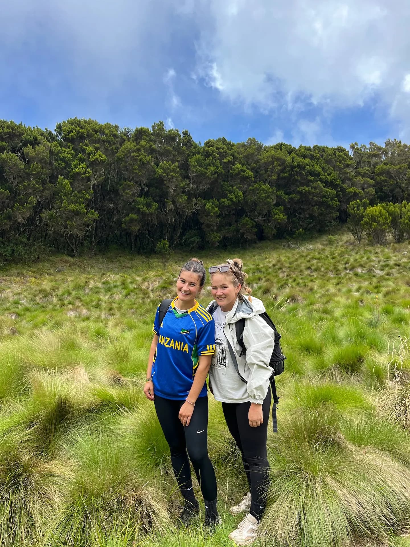 Kilimanjaro Dagwandeling