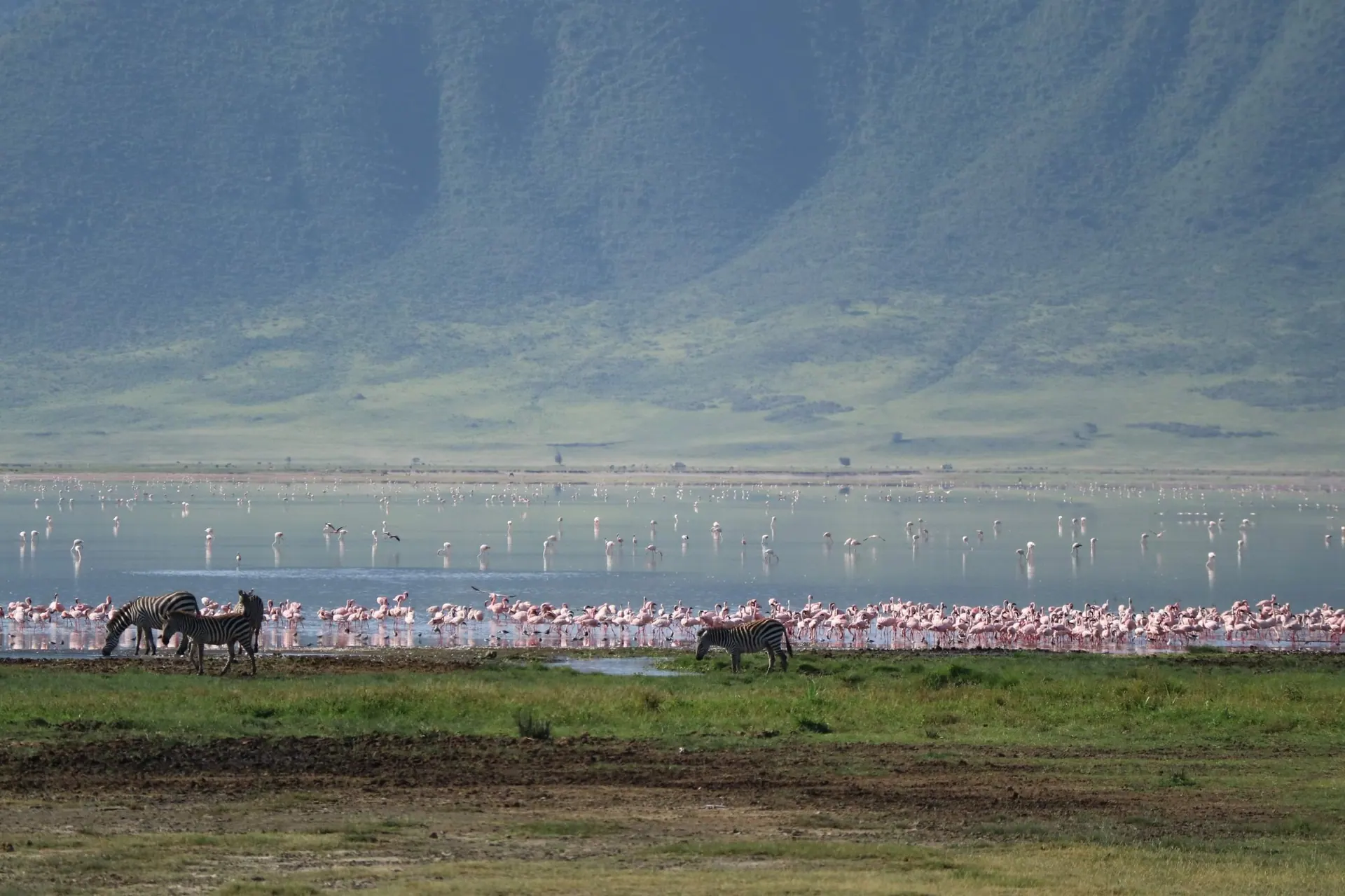 Beste reistijd Tanzania — eerlijk advies per maand
