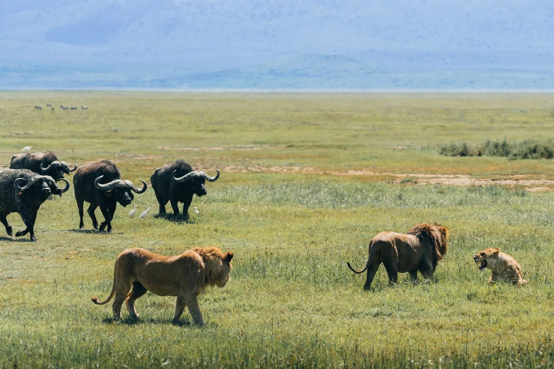 Tanzania reisverzekering — wat heb je echt nodig?