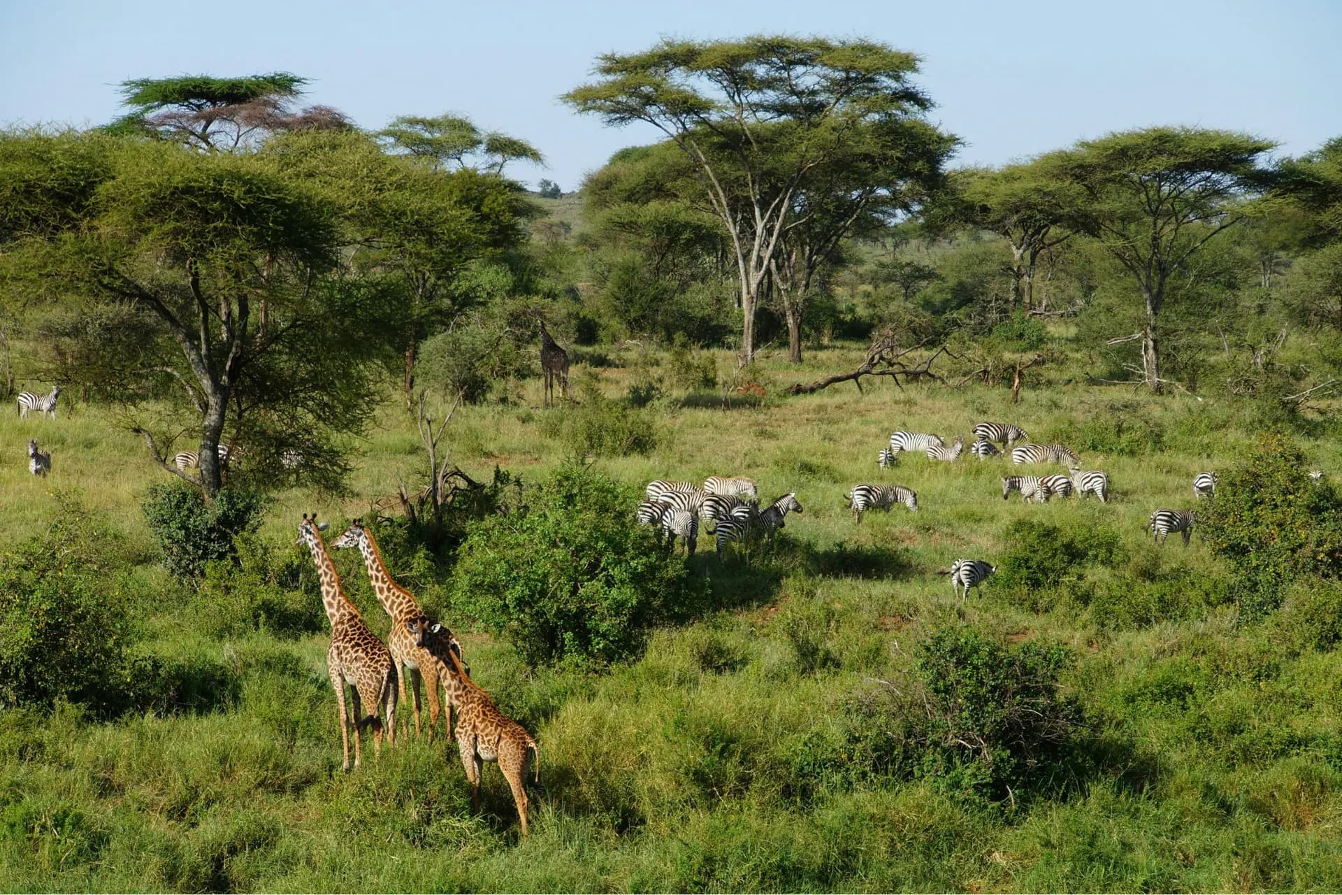 Tanzania huwelijksreis — tips voor het perfecte romantische avontuur
