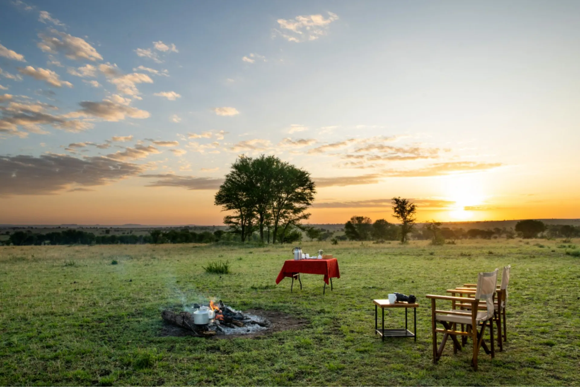 De beste camera voor een safari — eerlijk advies