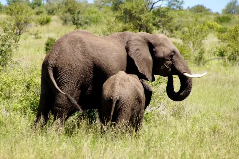Tarangire Nationaal Park — de verborgen parel van Tanzania