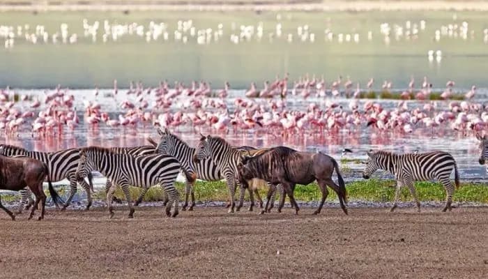 Eten & Drinken in Tanzania — wat moet je proeven?