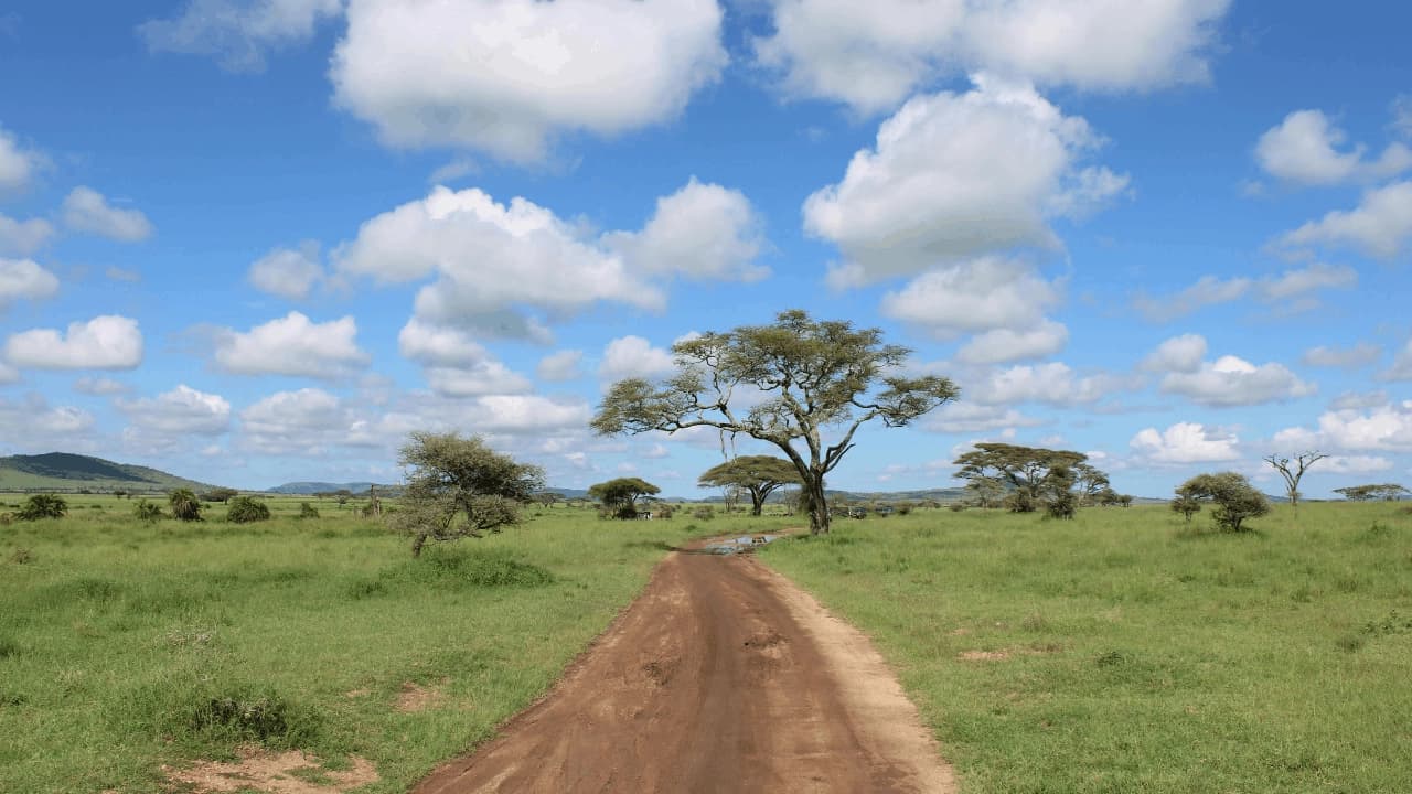 Was kostet eine Tansania-Safari? — ehrlicher Überblick