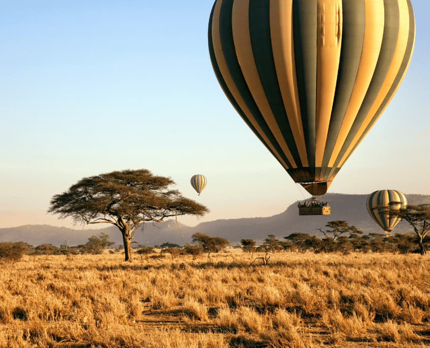 Luxury Safari Tanzania — 10 Days