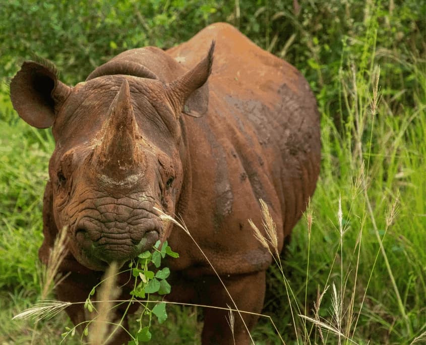 Ngorongoro Crater — the complete travel guide